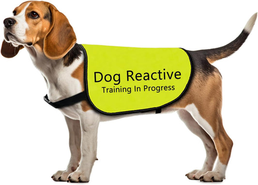 Reactive Dog Jacket Vest Dog Reactive Training in Progress Vest Dog Training Slogan Warning Vest (Dog Reactive Training-Small)