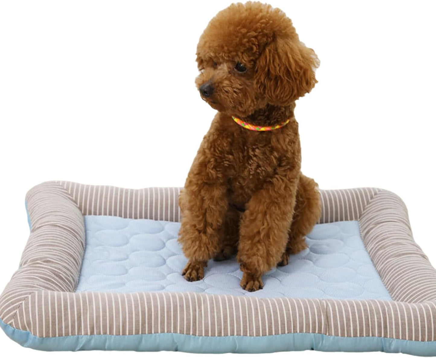 iiniim Cooling Mat for Dogs Bed Thick Comfort Foam with Cooling Gel Layer Orthopedic Support Pad Blue Medium