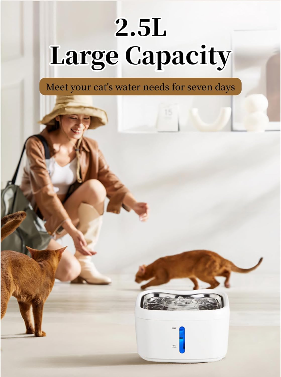 Dog & Cat Water Fountain, 2.5L Automatic Sensing Circulating Pets Drinking Dispenser with Filter, Quiet Indoor Animal Watering Fountains for Pets, Water Electricity Separation