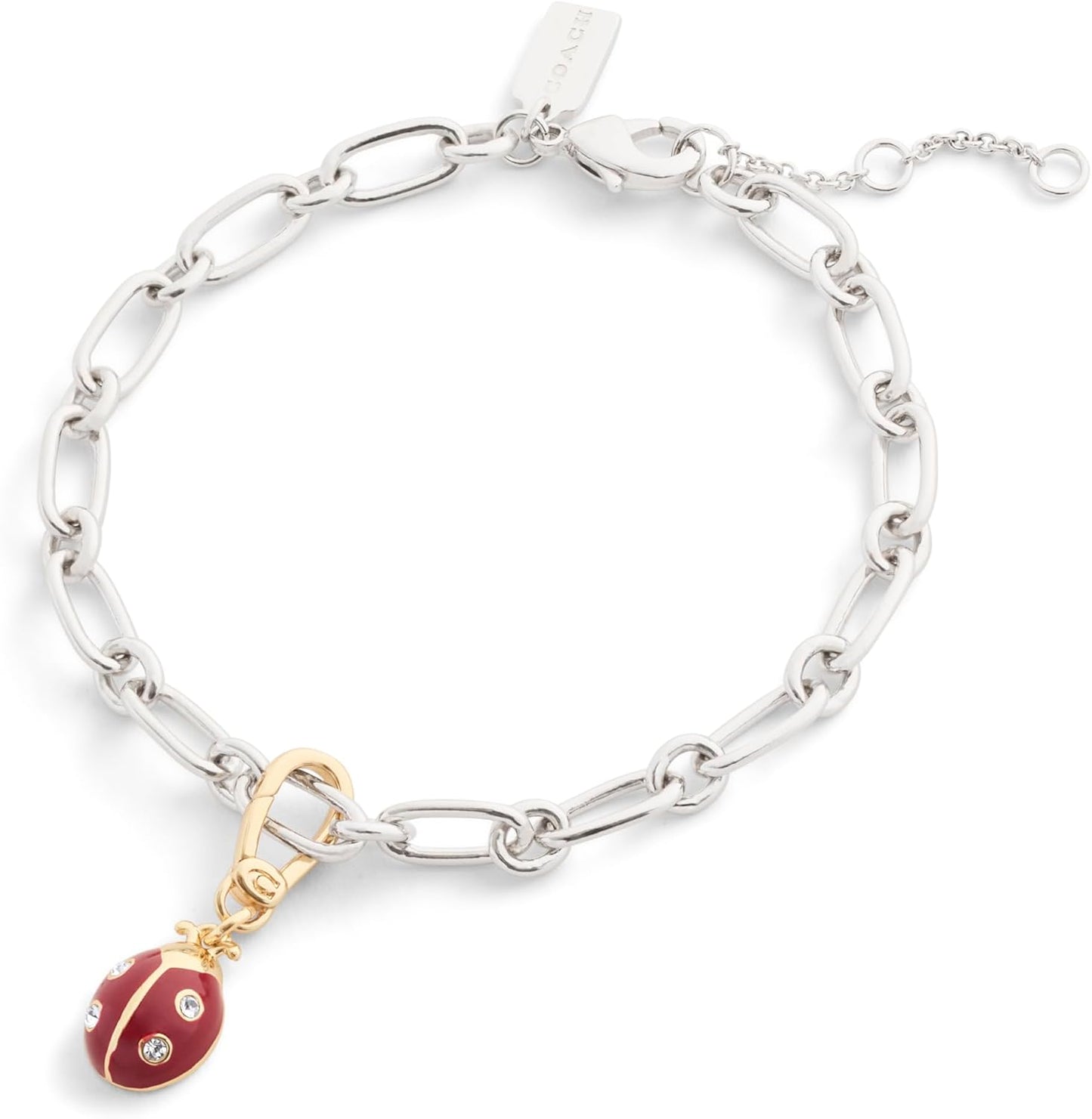 COACH Women's Collectible Signature Jewelry Charm