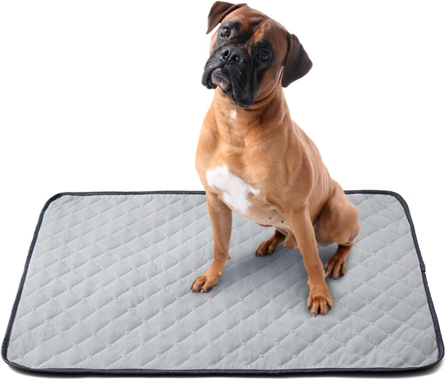 Dog Pee Pads Multiple Sizes Training Puppy Pee Pads Super Absorbent Leak-Proof Pet Piddle Pad Pads for Dogs Puppies