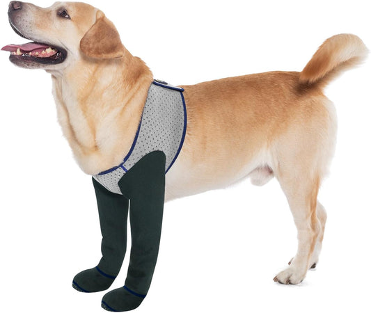 COODEO Dog Socks & Paw Protectors - Front Paws Only, Non-Slip Waterproof Dog Boots to Prevent Paw Licking, Protect Wounds & Aids Post-Surgery Recovery (Grey, M)
