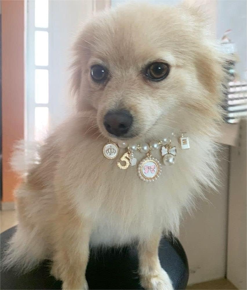 Dog Pearl Collars Princess Bow Necklace Pet Necklace DogCute Collar Puppy Accessories Cat Jewelry Neck Strap for Dog Cat (M)