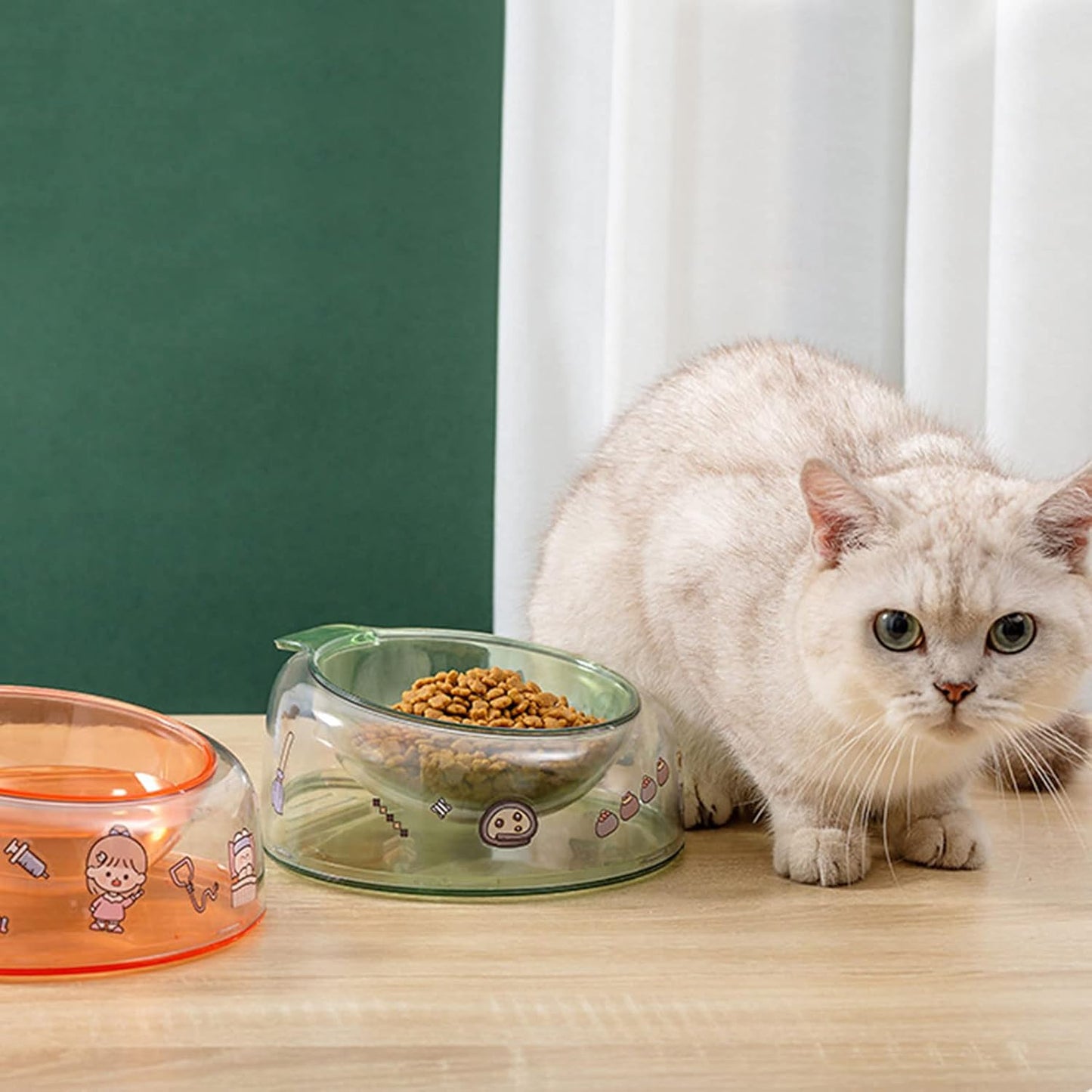 Pet Dishes Bowls with Stand for Kitten Small Dogs Food & Water Bowl 3 Tilted Elevated Bowl Protect Pet
