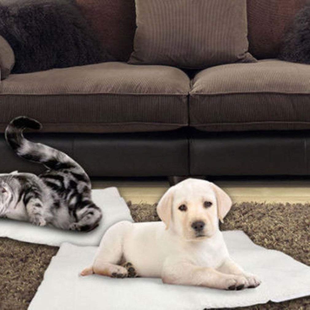 Self Heating Pet Pads Pet Blanket for Cat/Dog,Pet Heating Pad,Self Warming Cushion Mat for Cats Dogs,Self Heated Cat Dog Bed/Pet Thermal Mat Blanket Ecological (60x45 cm)