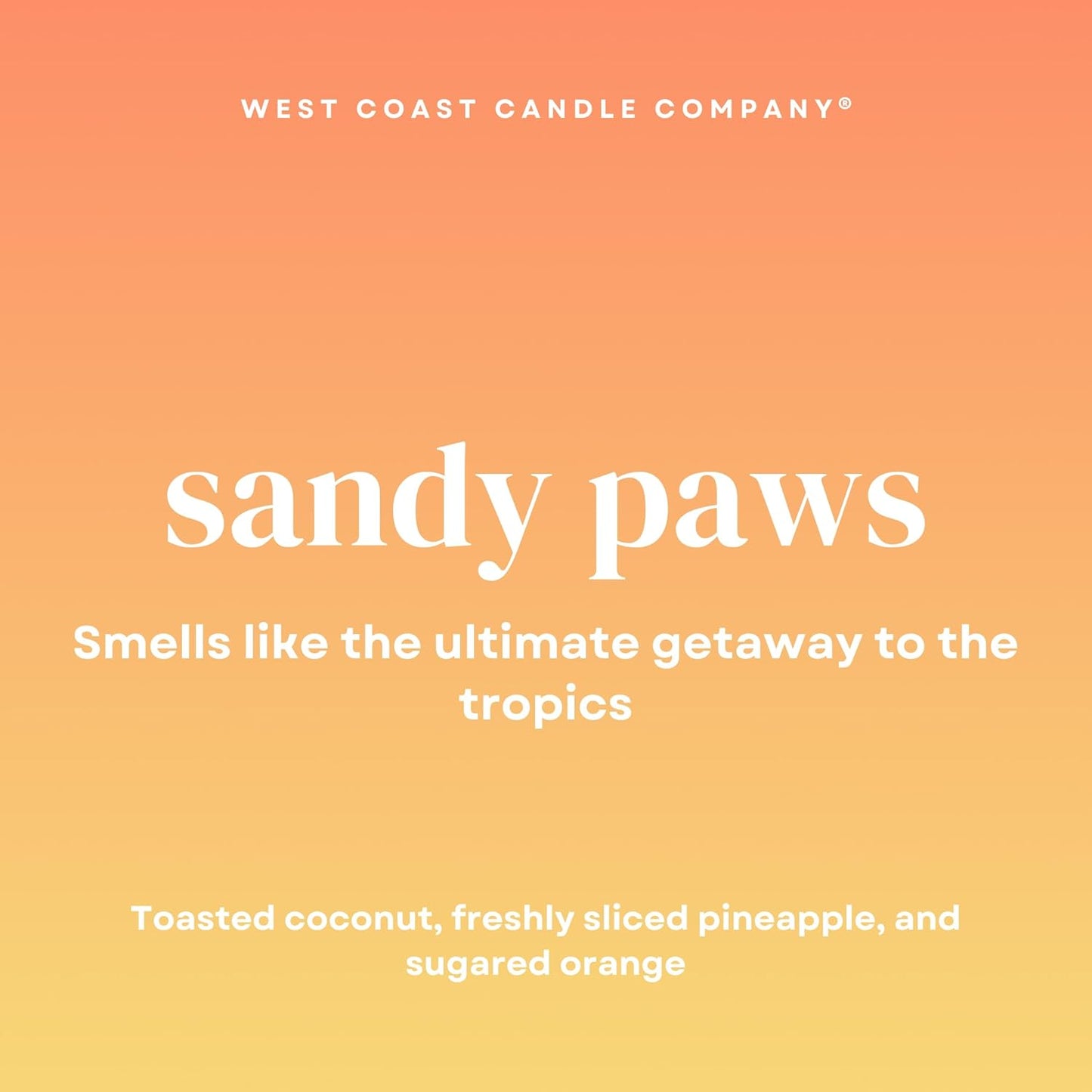 Sandy Paws | Pet Safe Wax Melts | All Natural Soy | Non-Toxic | Dog Friendly | Vet Approved | Long Lasting Home Fragrance | Pet Odor Eliminator | Clean Burning Wax Cubes | Safe Air Freshener