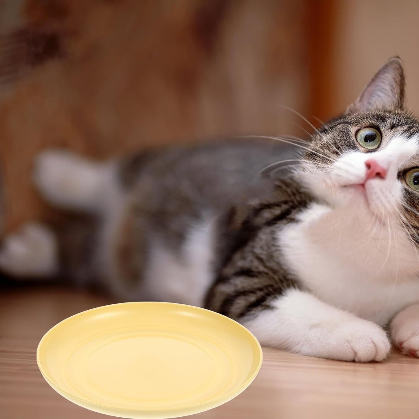 FAVOMOTO 8pcs Light Yellow Plastic Cat Bowls Set with Shallow Round Plates and Feeding Base, Anti-Whisker Fatigue Kitten Food Dishes for Indoor Small Cats and Short-Legged Pets
