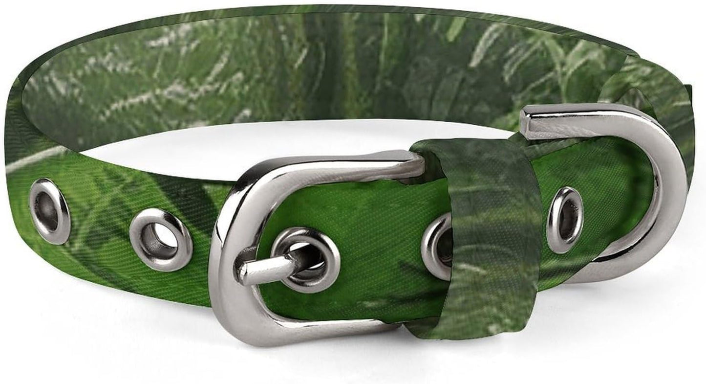 Tropical Rainforest Dog Collar with Buckle Adjustable Martingale Pet Collars Cute Female Male Puppy Collar Soft Waterproof Cat Collars for Small Medium Dogs