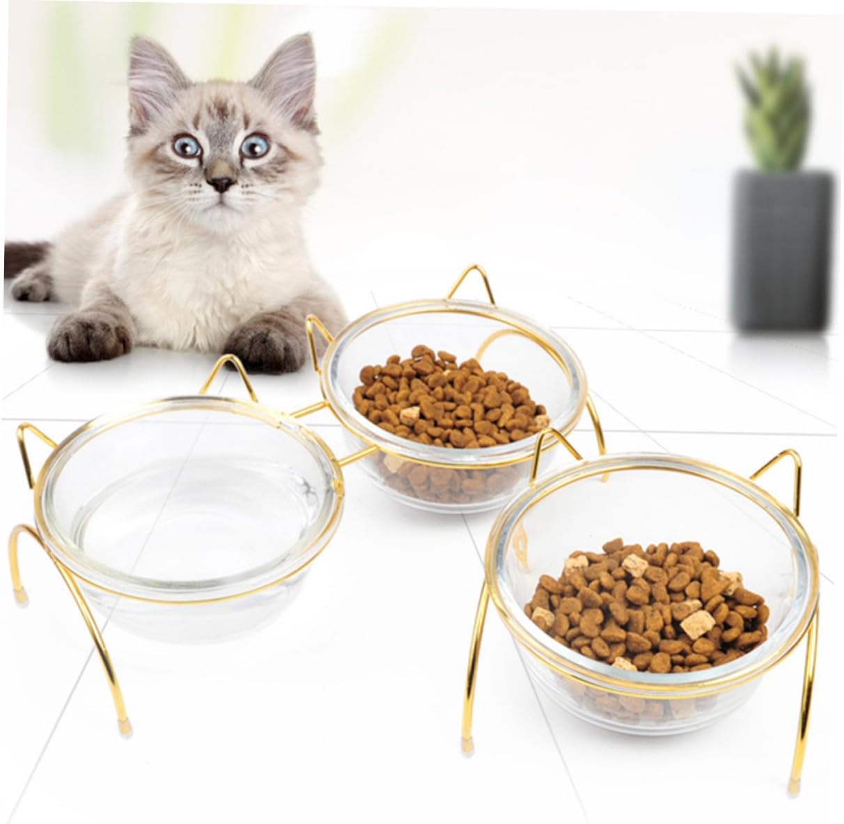 Milisten Raised Glass Pet Bowl with Tilted Stand, Elevated Cat and Dog Feeding Dish, Single Slant Food Bowl for Comfortable Eating