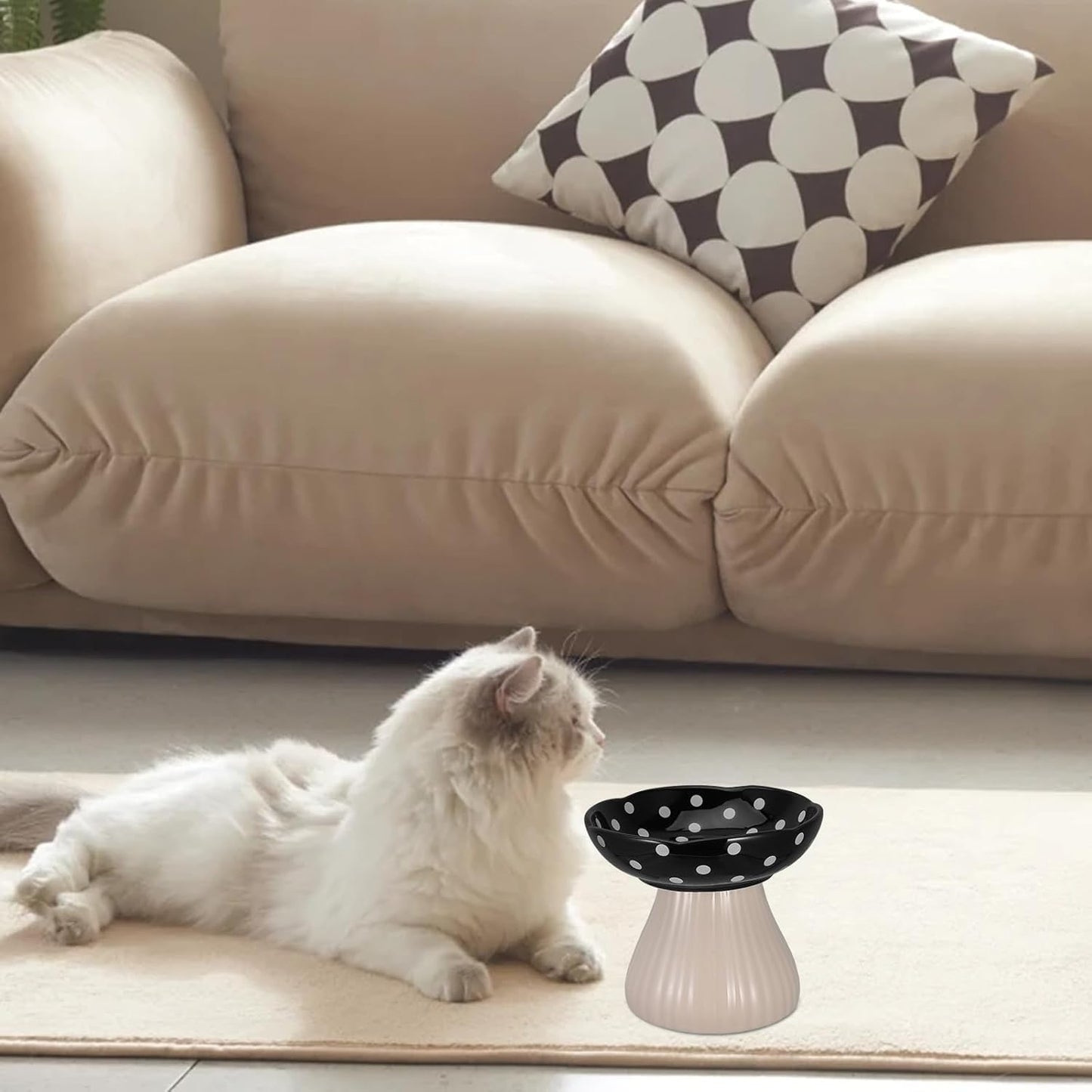 PRETYZOOM Elevated Cat Feeding Bowl and Raised Water Dish Ceramic Pet Bowl Wide Shallow Design with Black Mushroom Stand for Small Dogs and Indoor Cats