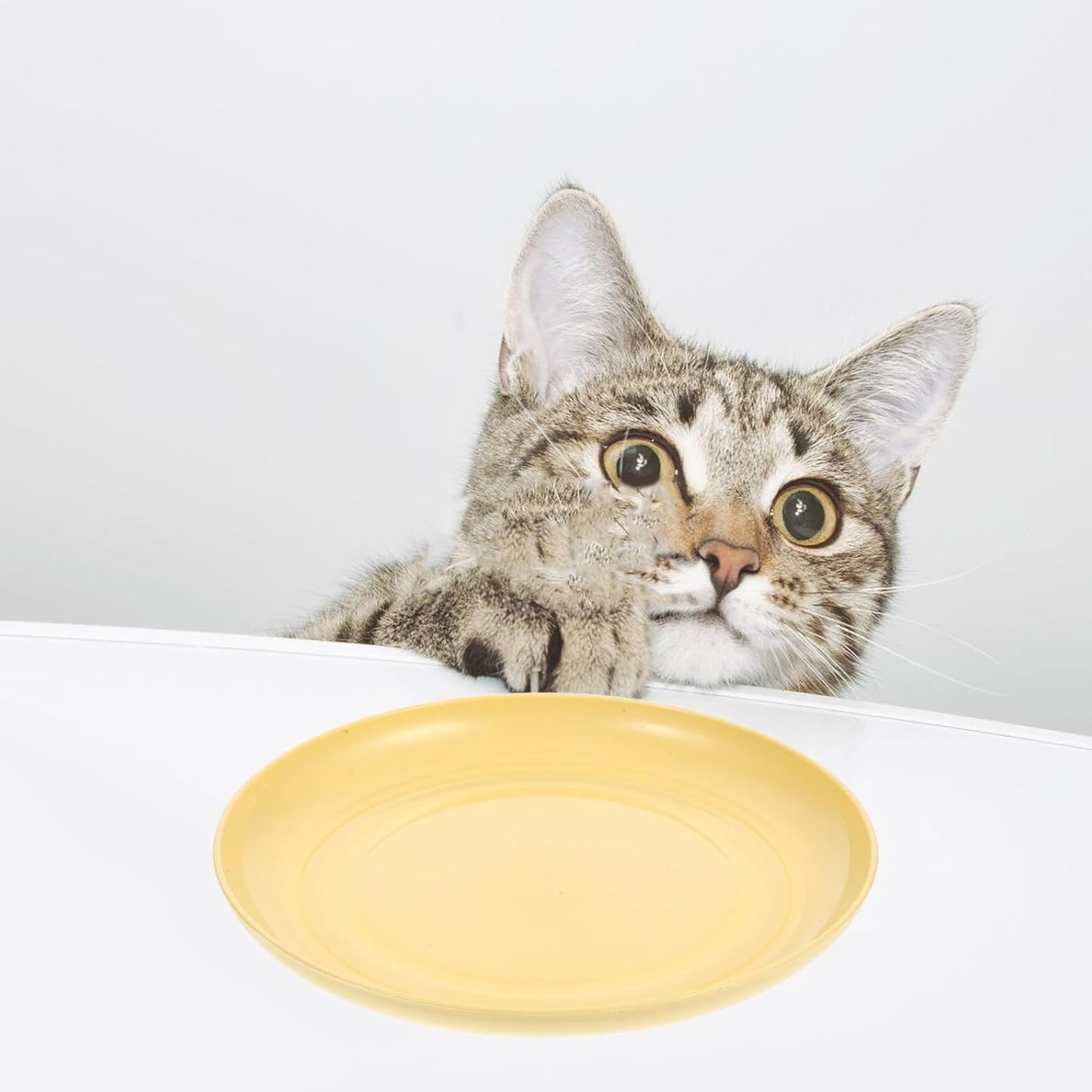 FAVOMOTO 8pcs Light Yellow Plastic Cat Bowls Set with Shallow Round Plates and Feeding Base, Anti-Whisker Fatigue Kitten Food Dishes for Indoor Small Cats and Short-Legged Pets