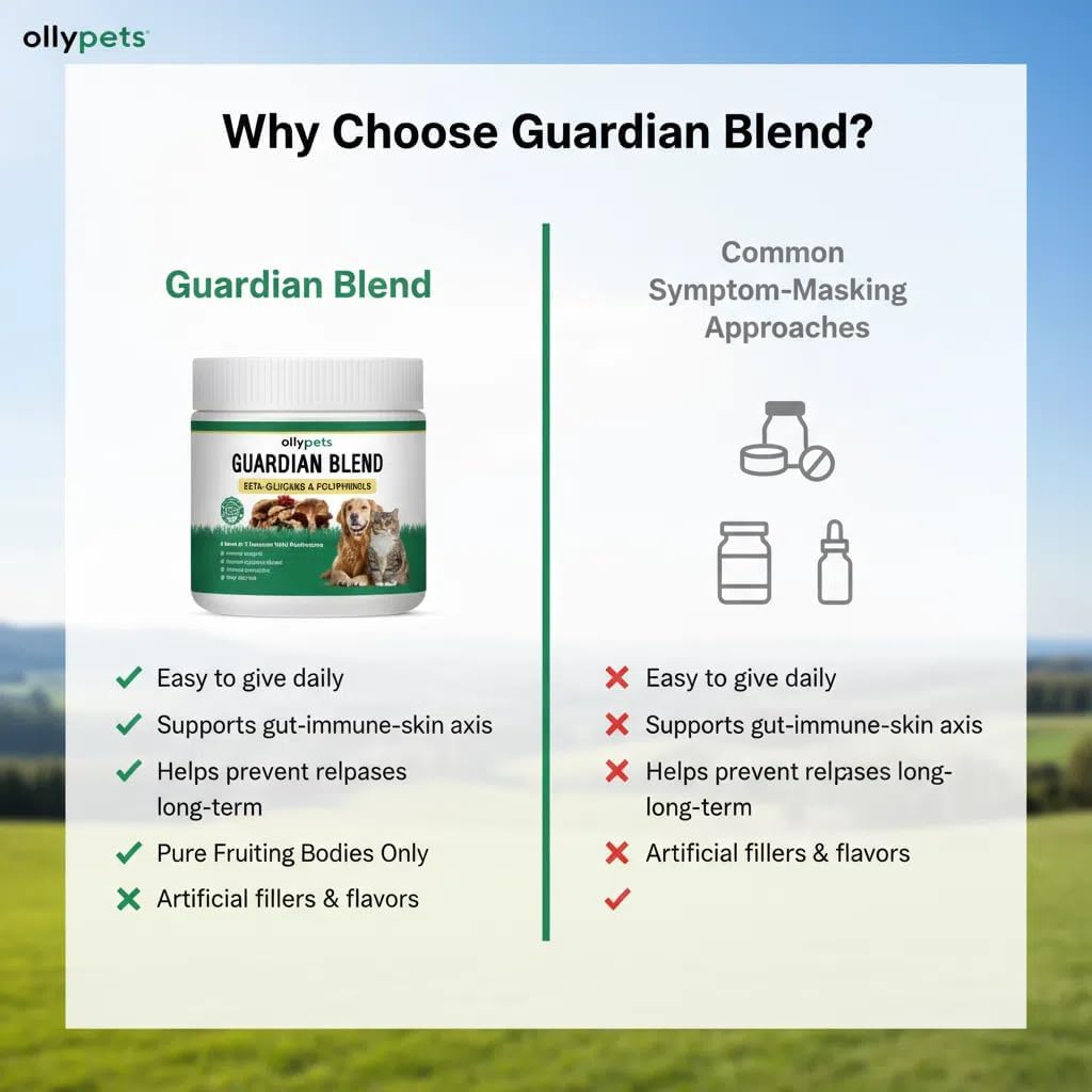 Ollypets Guardian Blend – 11-Mushroom Daily Support Powder for Dogs | Promotes Healthy Skin, Coat & Immune Function | Natural Formula, Bacon Flavor, Mixes Easily with Food