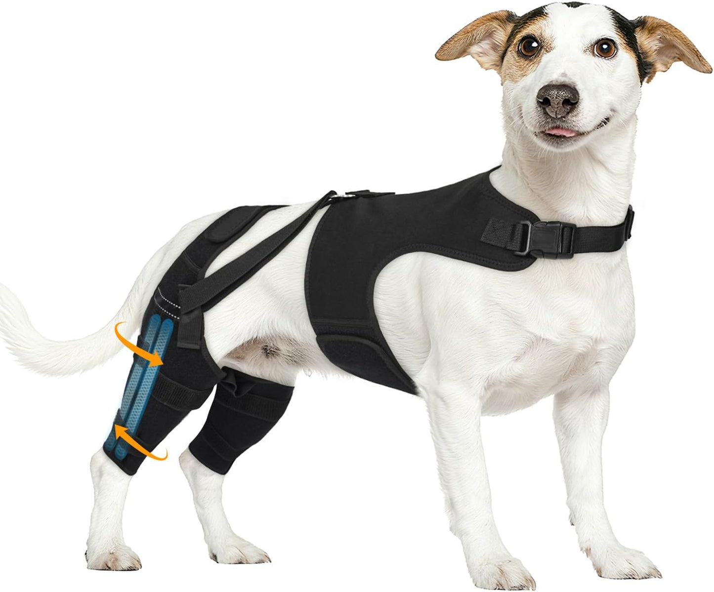 Dog Knee Brace for Torn Acl Hind Leg, Adjustable for Back Leg with 4 Stabilizers, Hip Support to Reduces Pain, Ligament Injuries & Luxating Patella for Small Medium Large Dogs,(Black-S)