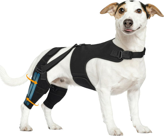 Dog Knee Brace for Torn Acl Hind Leg, Adjustable for Back Leg with 4 Stabilizers, Hip Support to Reduces Pain, Ligament Injuries & Luxating Patella for Small Medium Large Dogs,(Black-S)