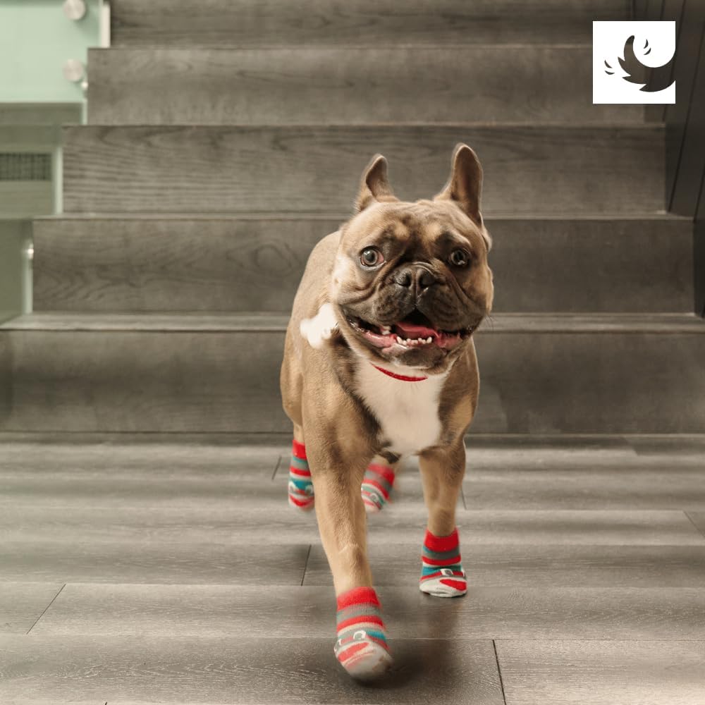 RC Pet Products Fun PAWks Anti-Slip, Stylish, Functional, Protective Dog Socks | X-Large, Bandit