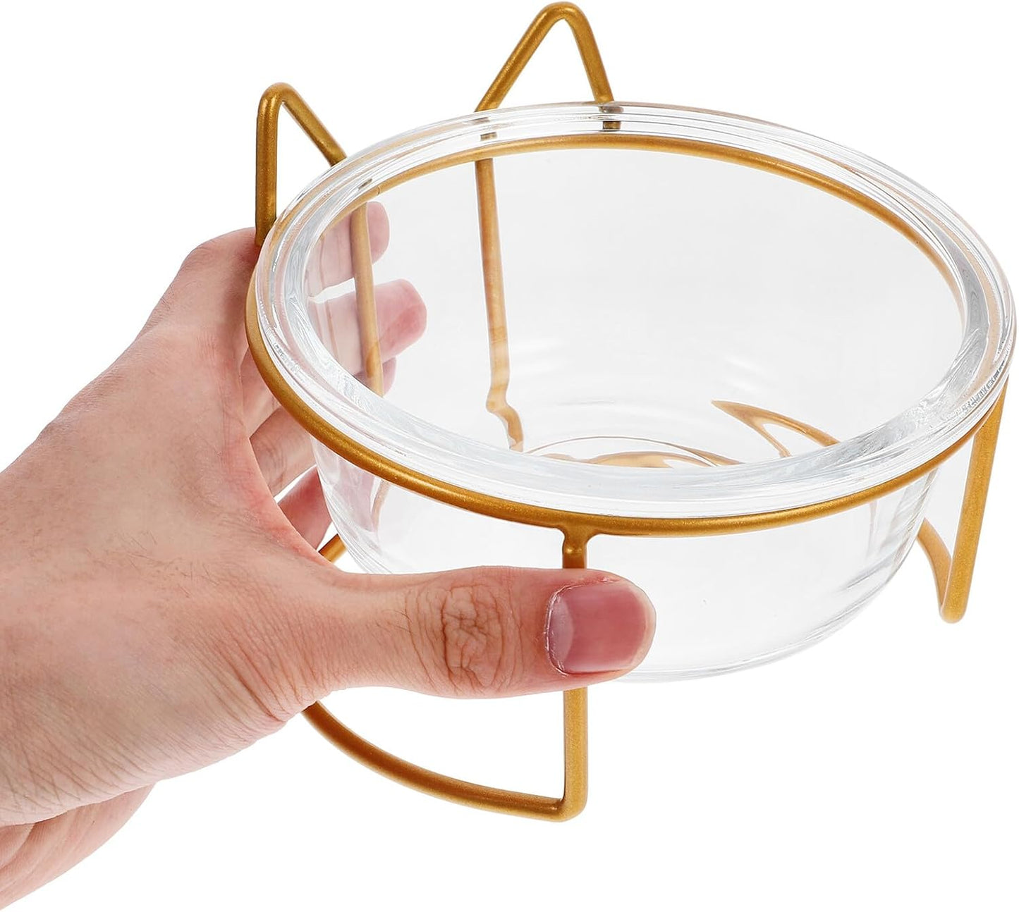 Milisten Glass Raised Cat Bowl with Neck Protection, Slant Design Pet Food and Water Feeder, Whisker-Friendly Tilted Feeding Dish for Cats, Single High Base Bowl for Indoor Use