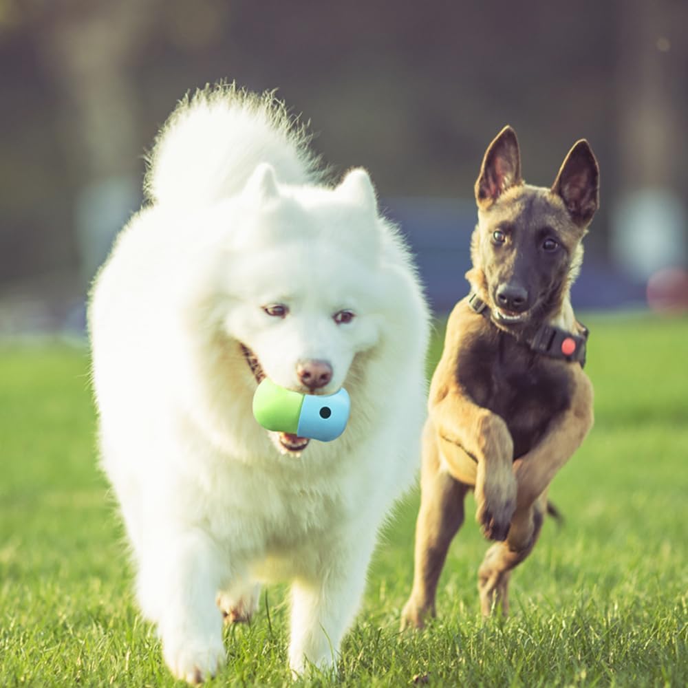 OMEM Pet Dog Leaking Food Toy Ball Silicone Gnawing Slow Food Bowl Fun Feeding Outdoor Interactive Ball (White and Green)