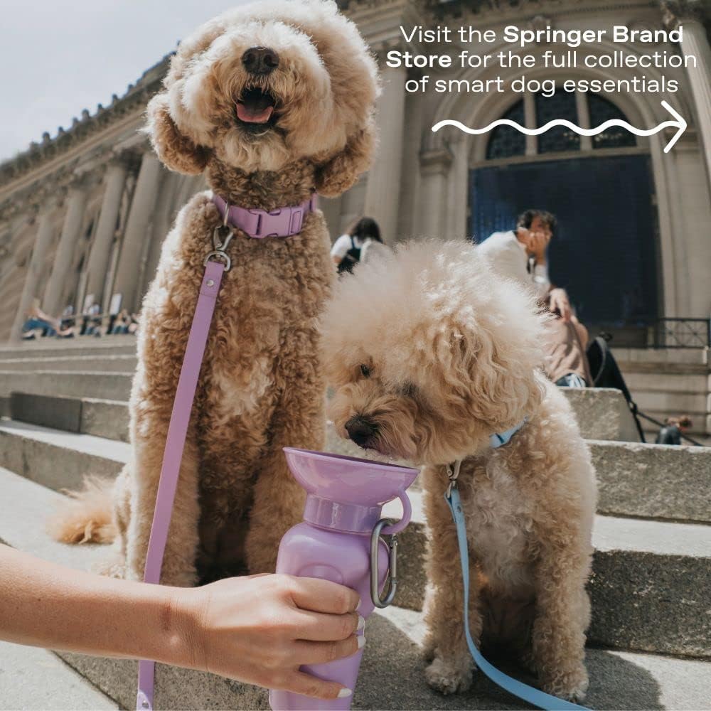Springer Dog Water Bottle | Portable Travel Water Bottle Dispenser For Dogs - As Seen on Shark Tank | Patented, Leak-Proof Bottles Fill Bowl With Water - Ideal for Walking | BPA-Free 15oz Blue