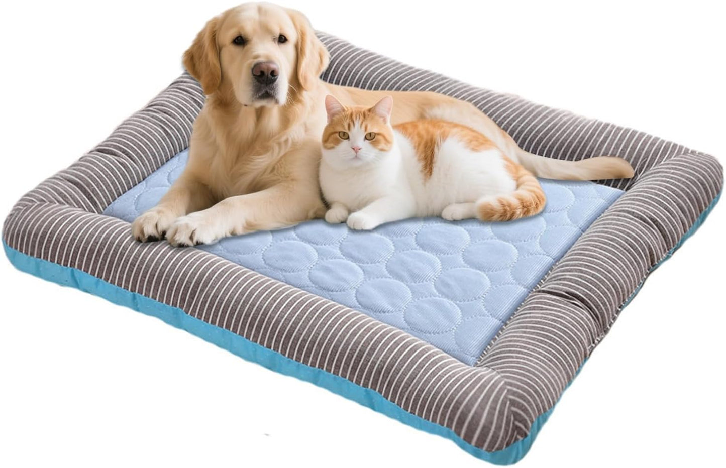 iiniim Cooling Mat for Dogs Bed Thick Comfort Foam with Cooling Gel Layer Orthopedic Support Pad Blue Medium