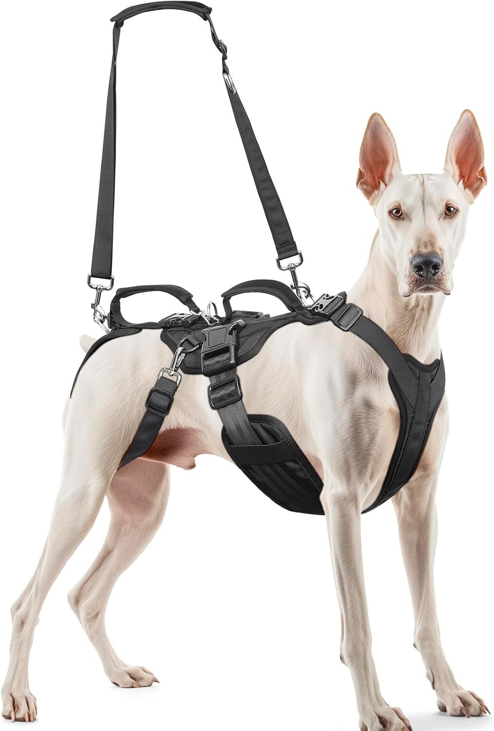 Dog Lift Harness for Large/Medium Dogs, Dog Support & Recovery Sling for Full-Body & Hind/Front Leg – Pee-Able Design – All-in-One Ideal Assistance for Senior, Disabled, Arthritic & ACL Canines (L)