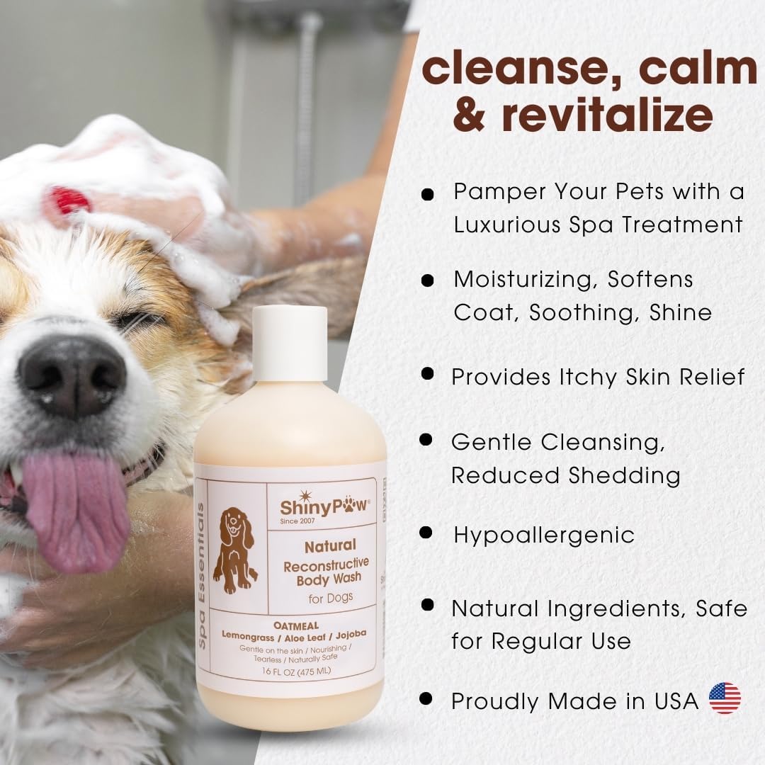Oatmeal Shampoo for Dogs 16 oz | Shiny Paw Dog Shampoo for Allergies and Itching | Controls Dog Shedding Naturally | Itchy Skin Relief for Dogs | Tearless Dog Shampoo & Conditioner