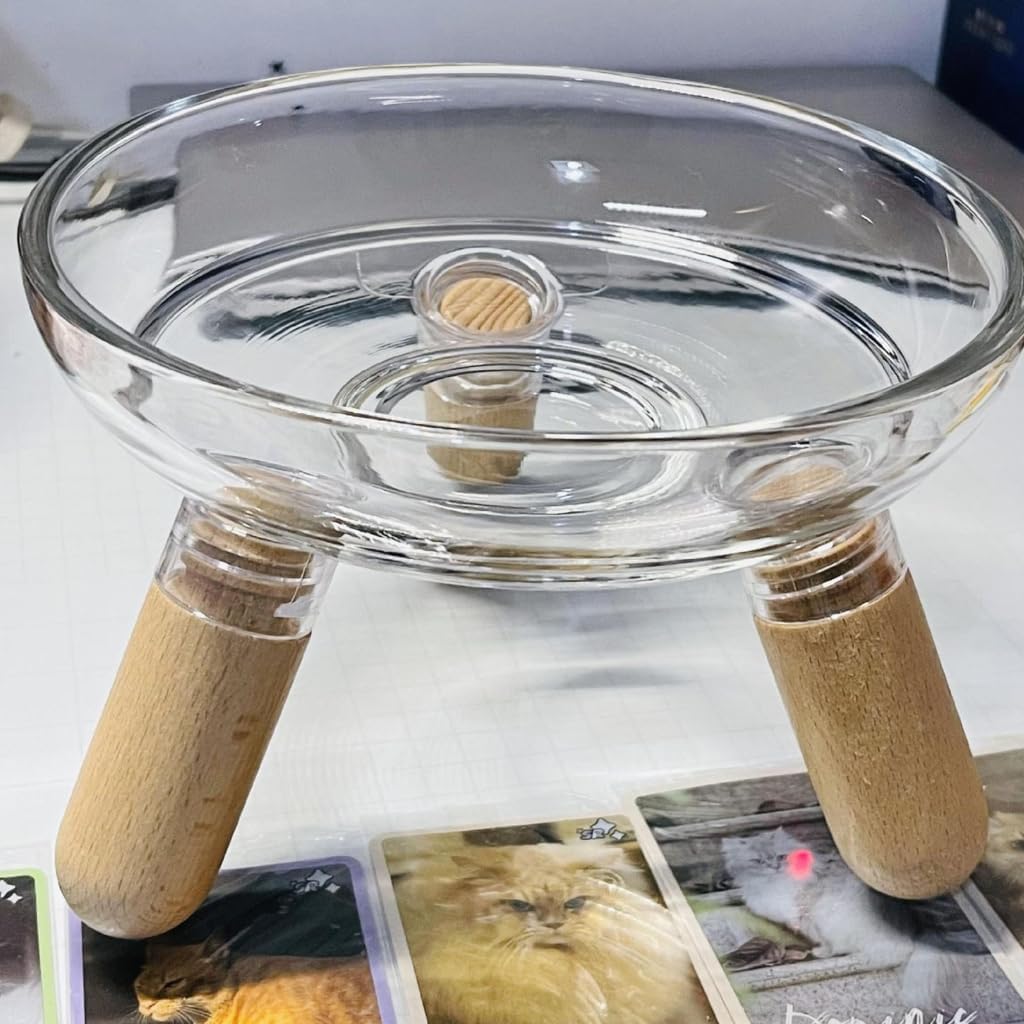 Comfortable Feeding Position for Dog with Elevated Bowl Stand Pet Feeder