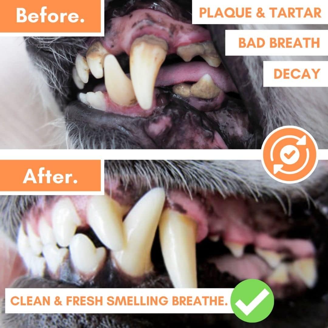 DogsLife Dog Tooth Wipes | Quick & Easy Finger Wipes for Teeth | Remove Tartar & Fight Bad Breath | Naturally Soothing Aloe Vera & Peppermint! Pack of 50 Dog Dental Wipes Teeth Wipes