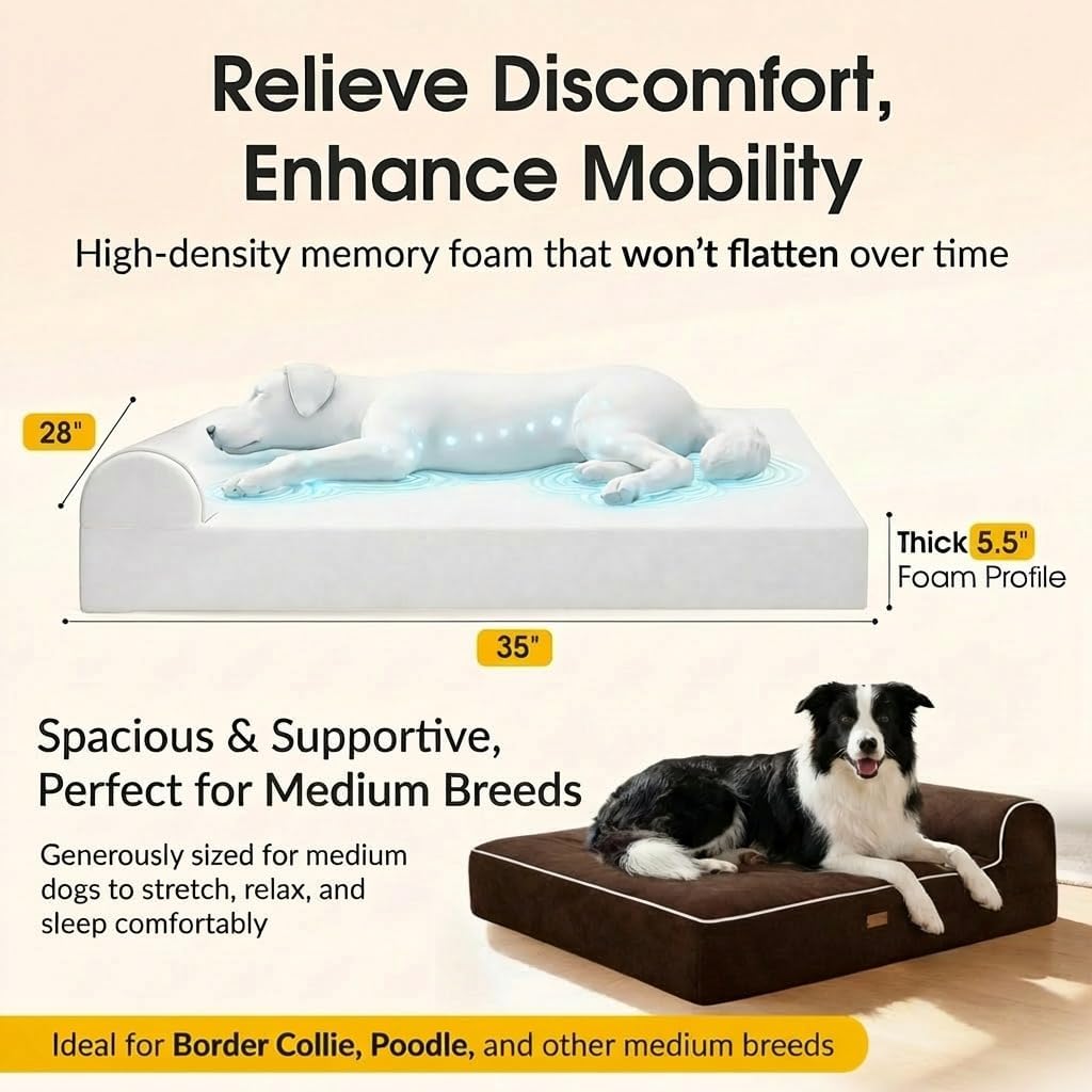 5.5 Inch Thick High Grade Orthopedic Memory Foam Dog Bed With Pillow and Easy to Wash Removable Cover with Anti-Slip Bottom. Free Waterproof Liner Included - for Large Breed Dogs
