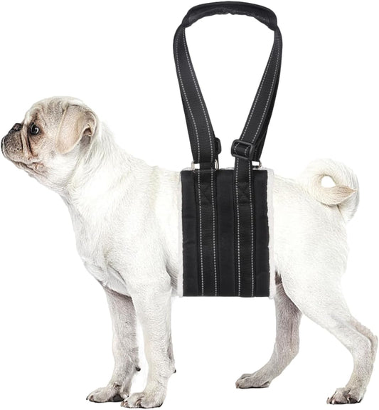 Adjustable Dog Lift Harness Dog Sling Portable Dog Sling for Back Legs Dog Lift Harness for Large Dogs Soft Lift Support and Rehab Harness for Senior,Injured,Disabled Dogs After ACL Surgery(S)