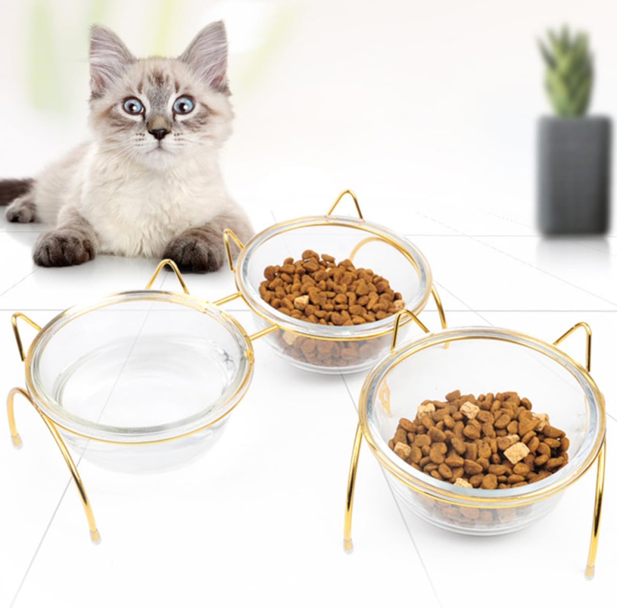 Beaupretty Elevated Glass Cat Food Bowl with Tilted Raised Stand Single Pet Bowl for Indoor Cats and Dogs Feeding