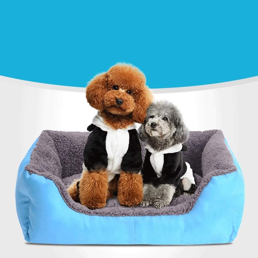 Orthopedic Memory Foam Dog Bed for Small Medium Couch Extra Large Dog Beds Washable with Removable Cover Non-Slip Bottom (58cm)