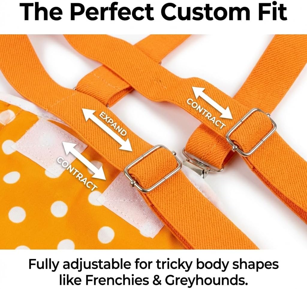 Washable Female Dog Diapers with Adjustable Suspenders, Anti-Slip Dog Period Panties That Stay On, Reusable Incontinence Nappies for Heat & Senior Care, Highly Absorbent 3 Pack, No Leak