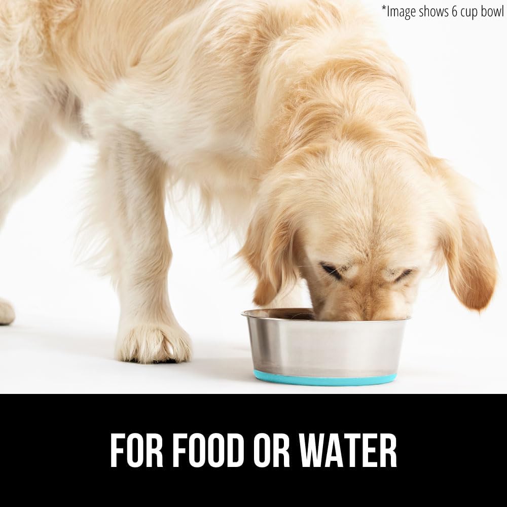 GORILLA GRIP Dog Bowl, Holds 2 Cups (16 fl oz), Food Grade 304 Stainless Steel Food and Water Bowl for Feeding Dogs and Cats, BPA Free Rubber Base, Easy Clean, Dishwasher Safe Rust Resistant Turquoise