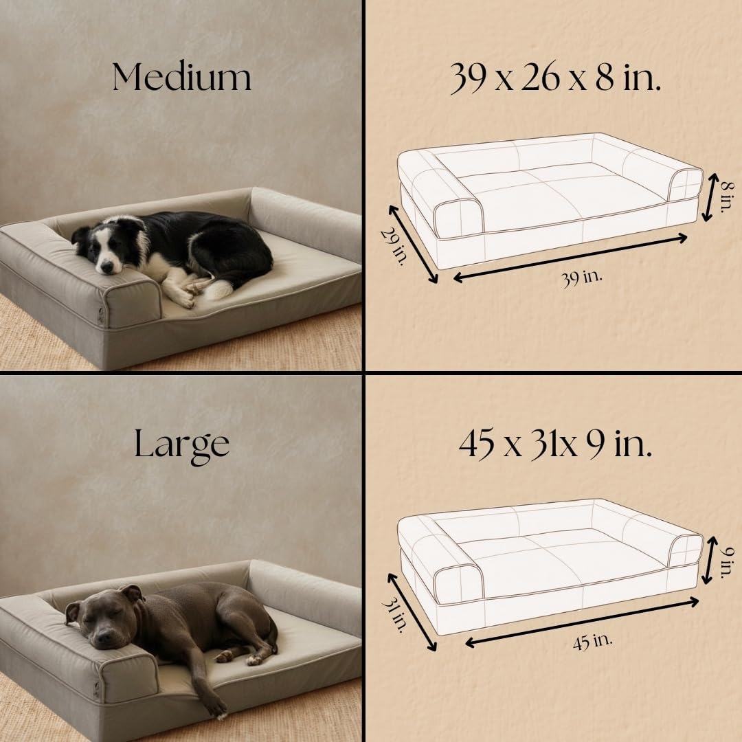 Dual-Layer Orthopedic Dog Bed for Medium & Large Dogs – Cozy, Velvety, Machine-Washable, Odor-Resistant (Gray, Large)