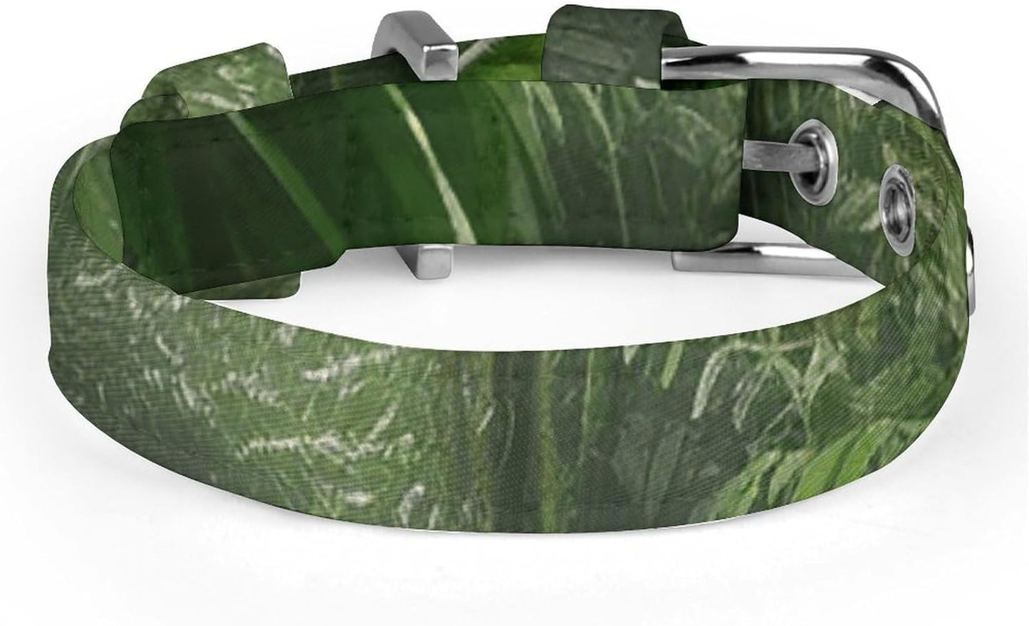 Tropical Rainforest Dog Collar with Buckle Adjustable Martingale Pet Collars Cute Female Male Puppy Collar Soft Waterproof Cat Collars for Small Medium Dogs