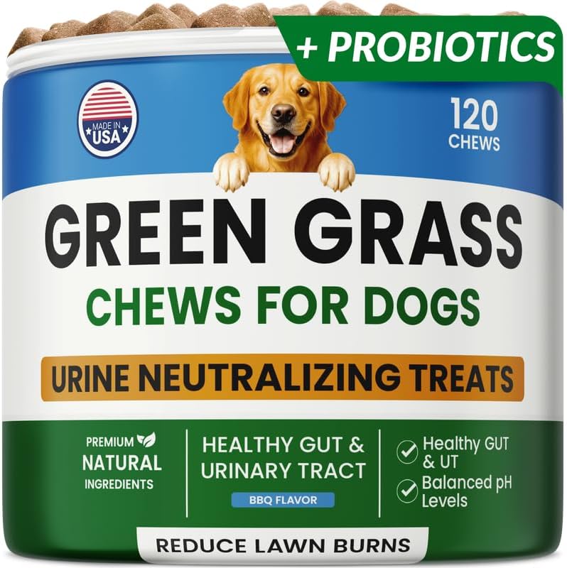 PAWFECTCHEW Dog Pee Grass Chews - Grass Treatment for Pet Urine - Neutralizer for Green Grass Burn Urine Spots - Green Lawn Chews for Dogs with Probiotics - Made in USA (120Ct)