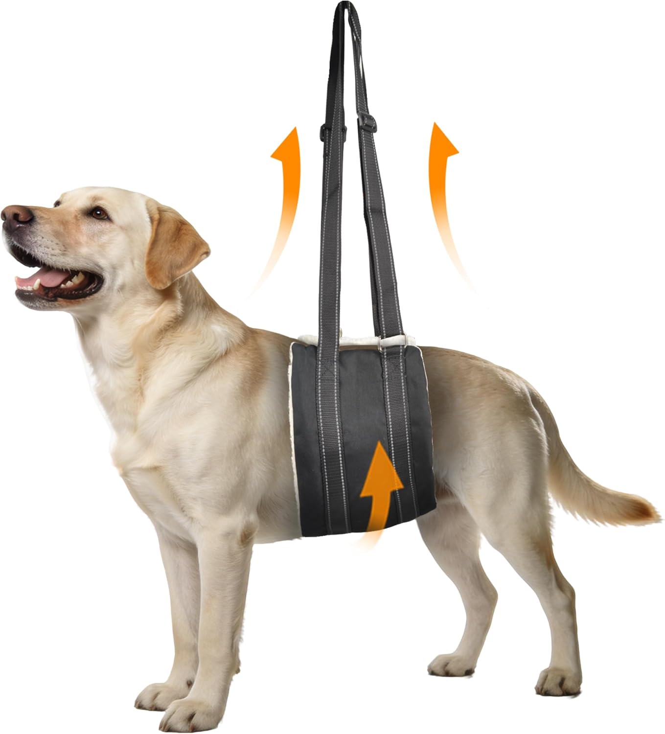 Adjustable Dog Lift Harness, Hind Leg Support Sling for Weak Rear Legs, Soft Lift and Rehab Harness Helps Senior, Injured, Disabled and Post-ACL Surgery Dogs(XL)