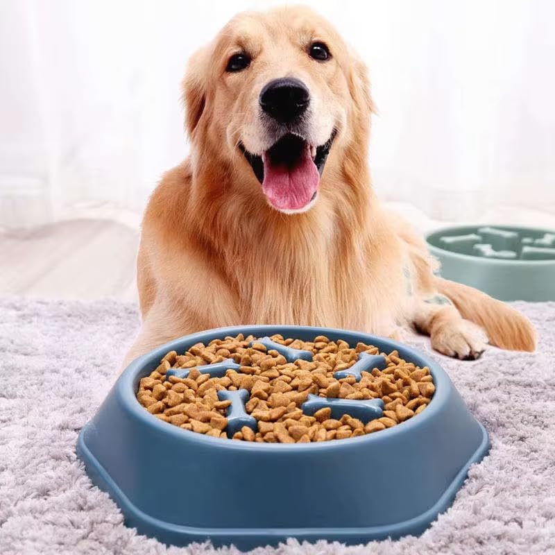 Slow Feeder Anti Gulp Easy Digestion Feeder Bowl (Light Green, Medium)