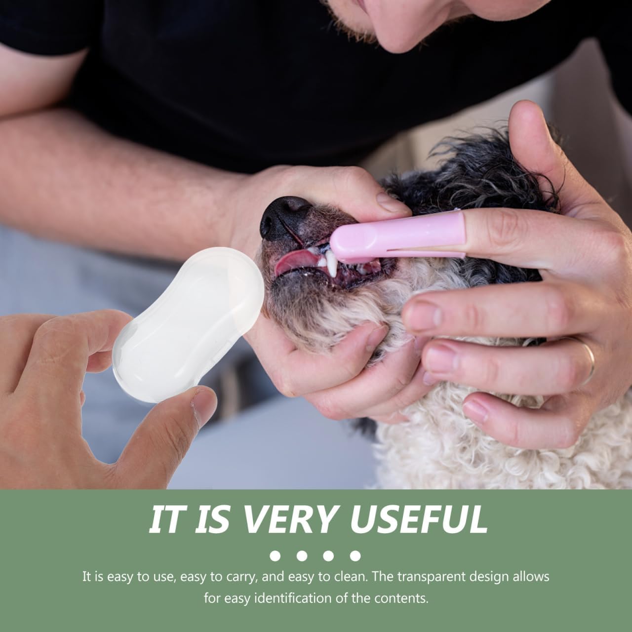 HEALLILY 20Pcs Dog Finger Toothbrush Storage Box Portable Transparent Case Compact Design Easy to Carry for Pet Dental Care