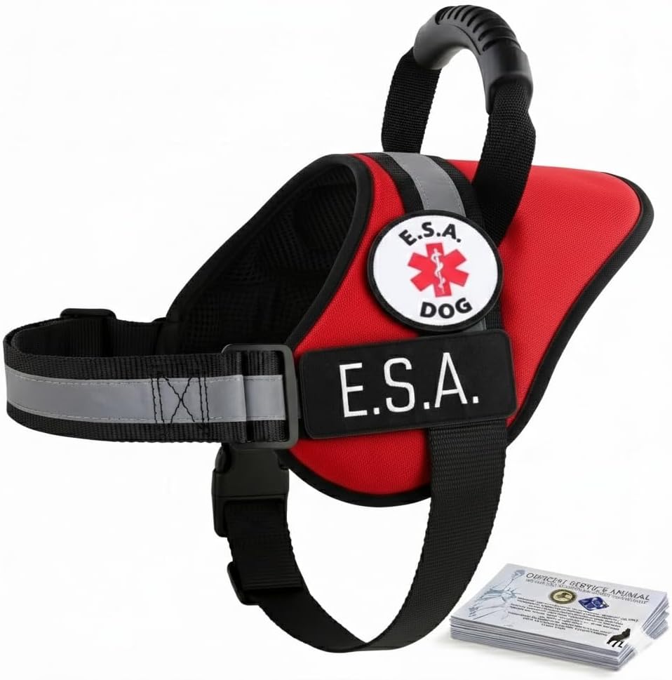 Service Dog Harness Vest with Handle - Removable Patches (ESA, Support Animal, Emotional Support Animal, Therapy Dog, Autism, PTSD) 10 ADA Cards | All Access Canine