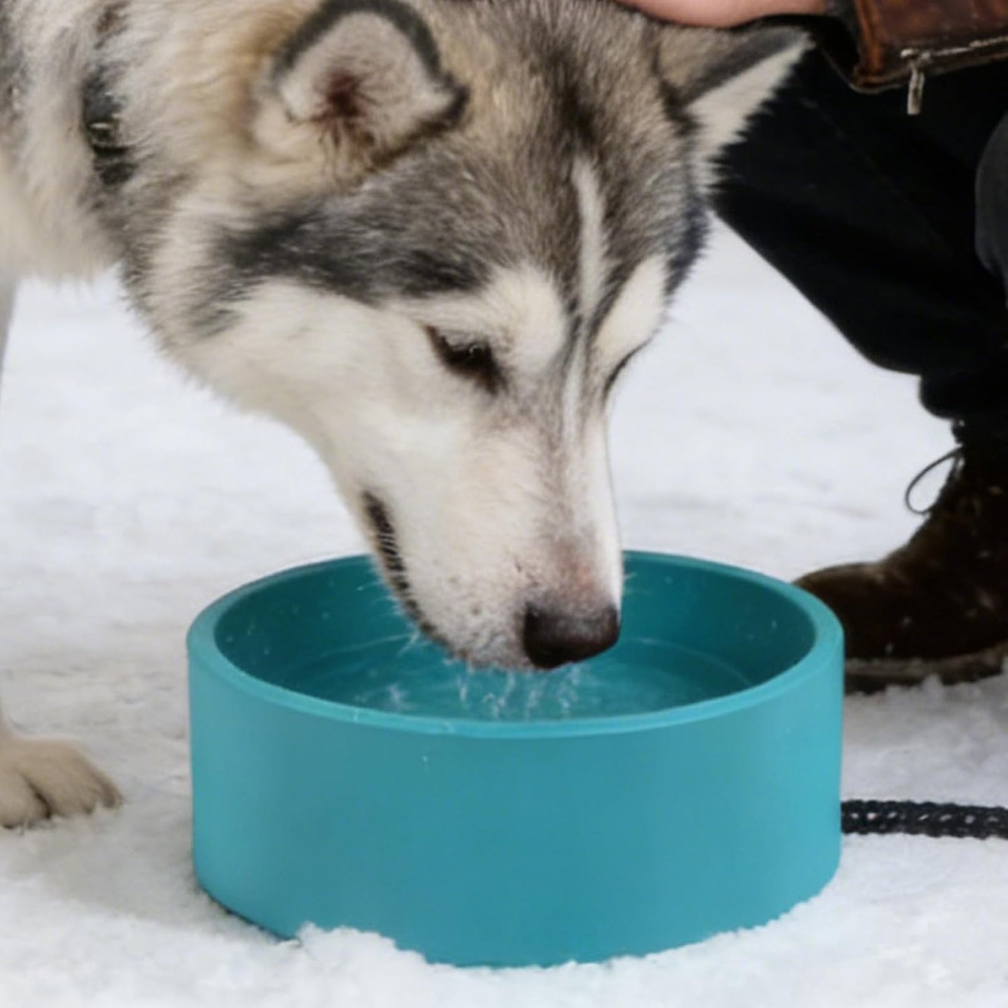 Automatic Pet Waterer, Heated Drinking Bowl, 3.2L Non-Slip Winter Feeder for Puppies Cats, Sturdy Shock-Resistant Design, Indoor Outdoor Pet Supplies, Easy Hydration for Small Medium Large Pets