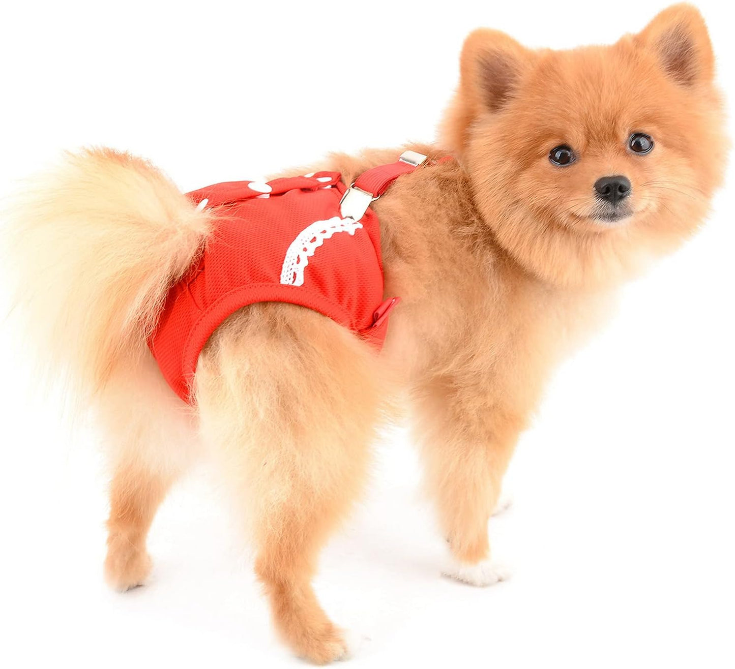 SMALLLEE_LUCKY_STORE Red Lace Girl Dog Diapers for Female with with Suspender Washable Reusable Cloth Sanitary Pants for Heat Cycle Incontinence Puppy Training