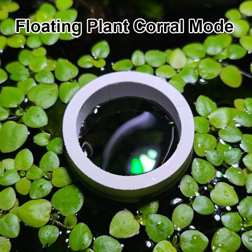 Fish Feeder, Baby Brine Shrimp Sieve,Blood Worms Feeder, Feeding Ring,Floating Food Dispenser with Suction Cup Mount & Floating Ring Set of 3 Sizes Ideal for Feeding Brine Shrimp,Blood Worms