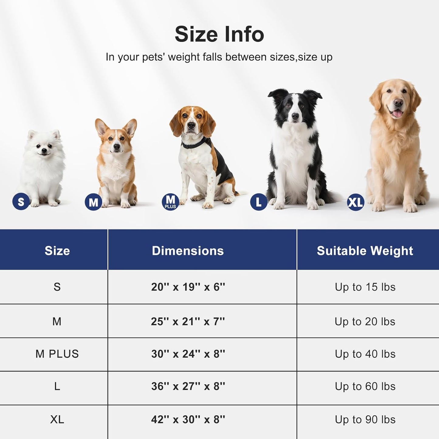 FURTIME Dog Bed Large Sized Dogs, Washable Comfy Fluffy Medium Dog Beds, Removable Zipper Cover Machine Wash, Soft Orthopedic Bed Durable Pet Cuddler with Anti-Slip Bottom, 36"x27"x8", Grey