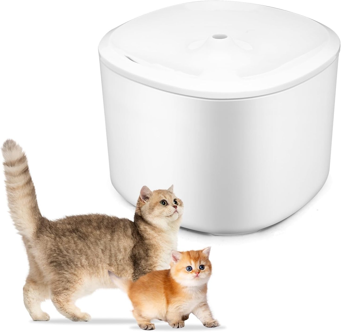 3L Cat Water Fountain, Cat Fountains for Drinking, Double Filtration & 3-Speed Adjustable Pet Fountain for Drinking