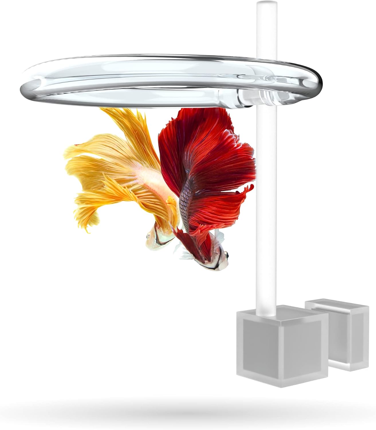 Magnetic Invisible Feeding Ring (Customizable and Auto-Leveling) Food Portal for Floating Plant Aquariums and Fish Tanks (Single)