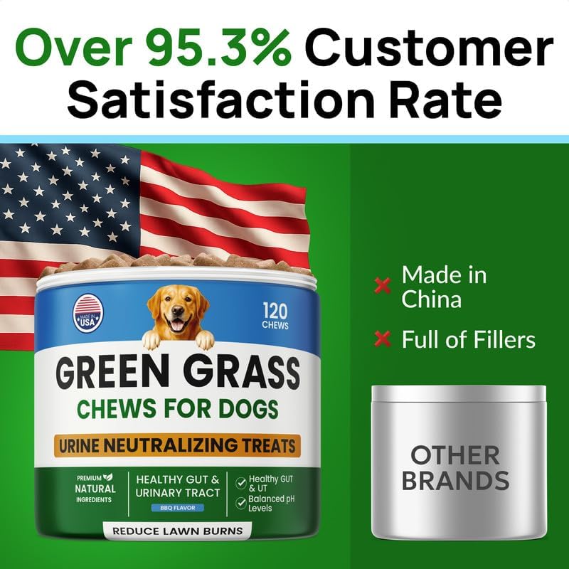 PAWFECTCHEW Dog Pee Grass Chews - Grass Treatment for Pet Urine - Neutralizer for Green Grass Burn Urine Spots - Green Lawn Chews for Dogs with Probiotics - Made in USA (120Ct)