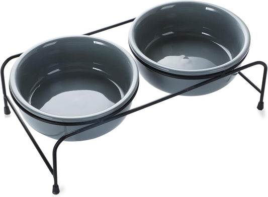 GDCZ Elevated Cat Bowl Stand, 11 in Metal Stand with 2 Removable 15 OZ Ceramic Bowls for Pet Food and Water, Stand Reduces Cat Neck Burden, Grey
