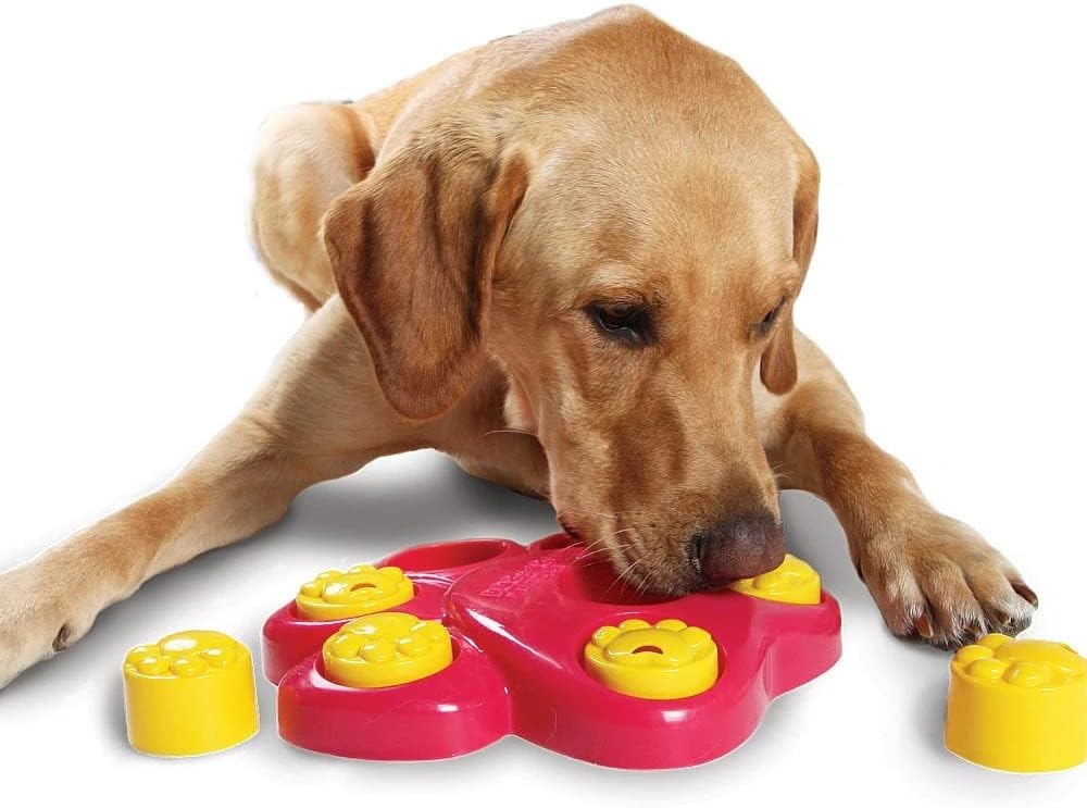 Pet Puzzle Toy IQ Treat Bowl, 2in1 Puppy Toys and Slow Food Bowl, Pet Intelligence Toys (Color : A, Size : 255cm)