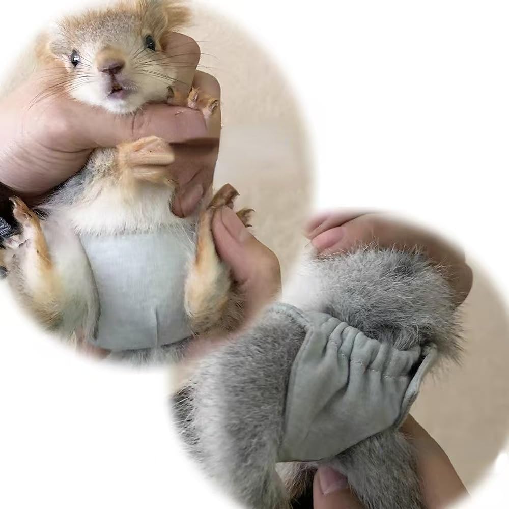 5PCS Small Pet Diapers, Adjustable Sugar Glider Diapers, Reusable, Washable, Specially Designed for Use on Pet Squirrels Guinea Pig (L)
